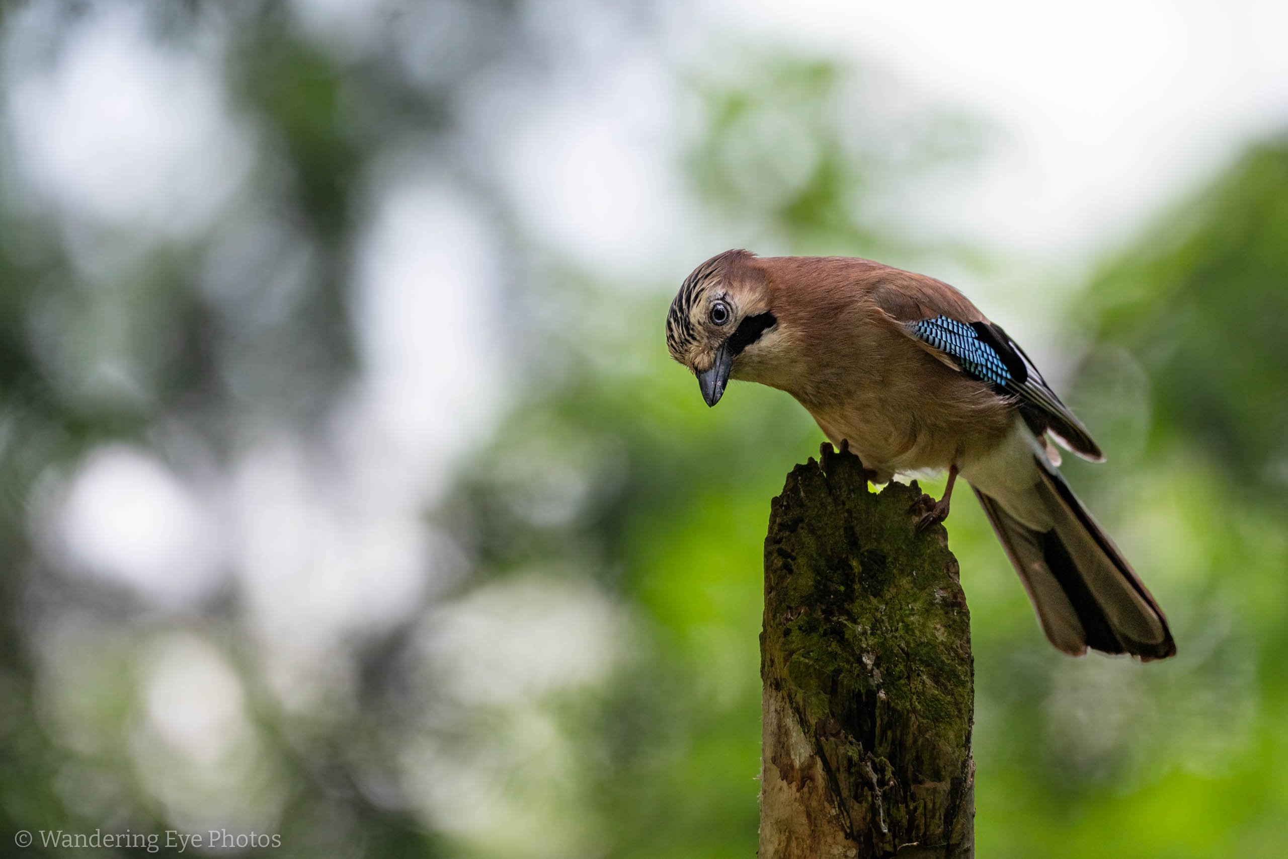 05.17 14.58.37 DSC00687